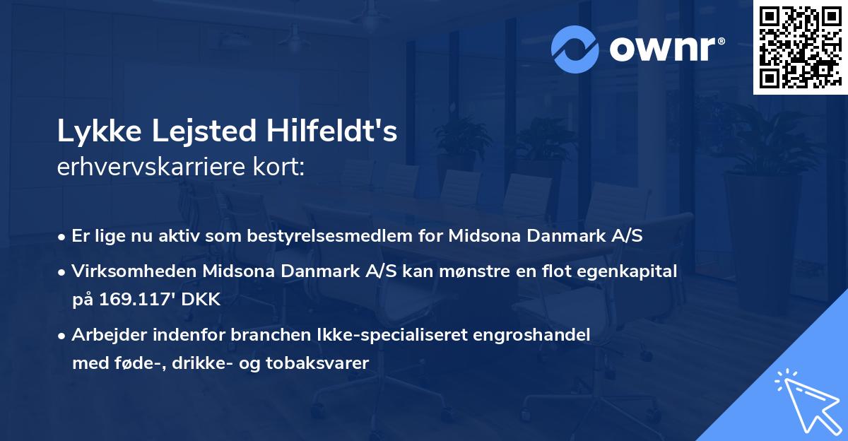 Lykke Lejsted Hilfeldt's erhvervskarriere kort