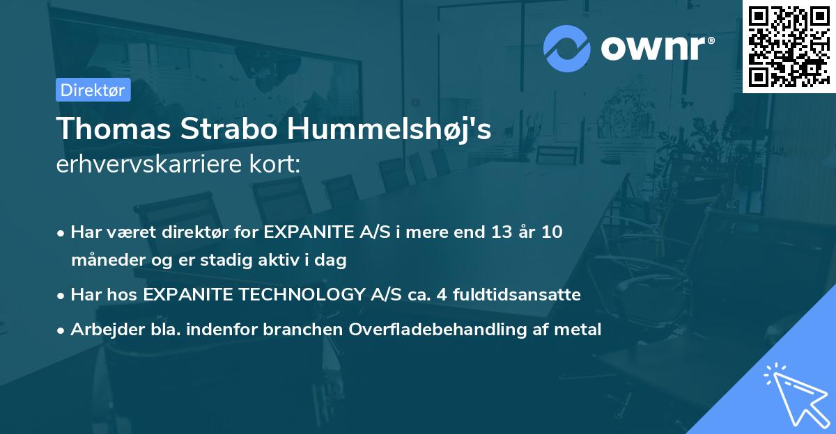 Thomas Strabo Hummelshøj's erhvervskarriere kort