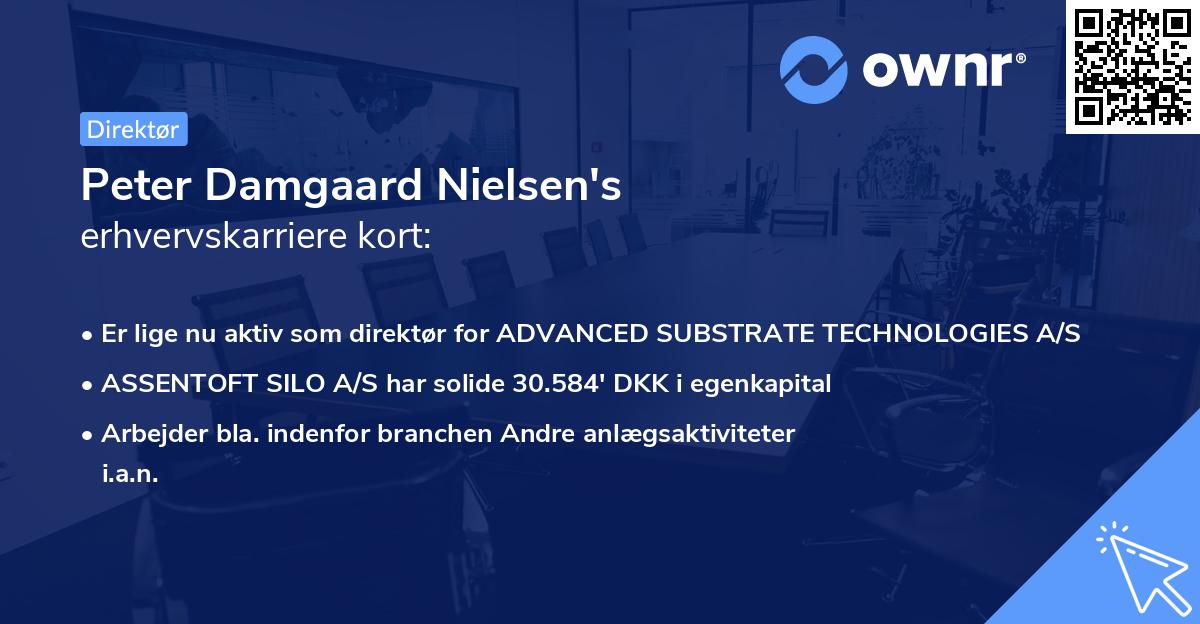Peter Damgaard Nielsen's erhvervskarriere kort