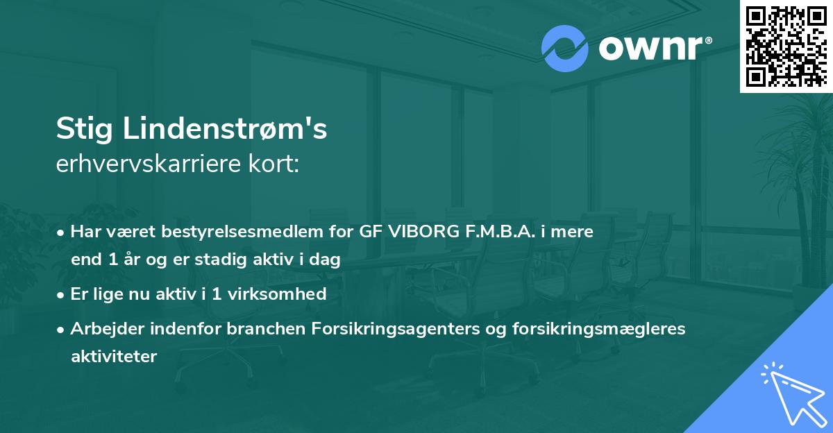 Stig Lindenstrøm's erhvervskarriere kort