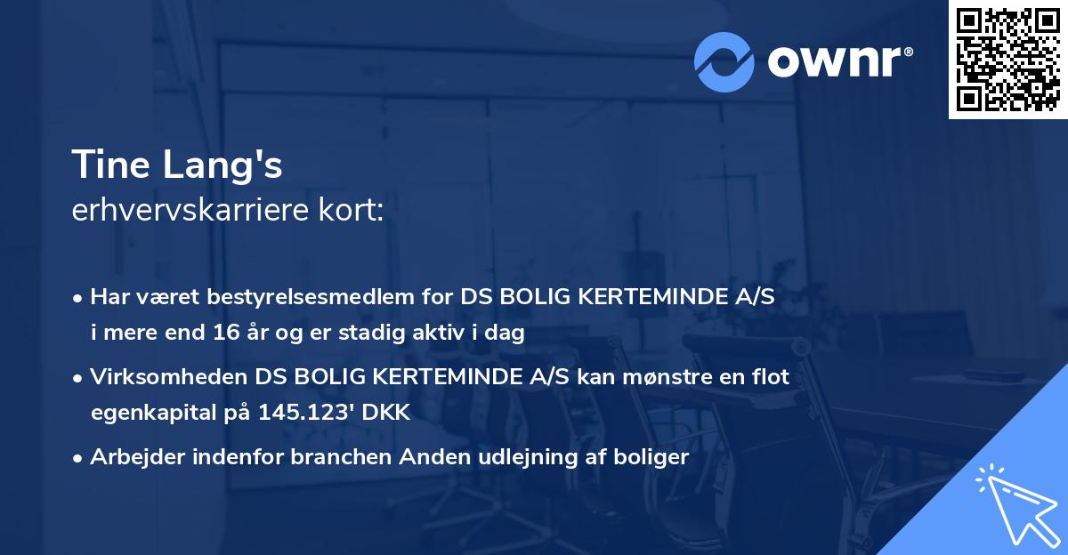 Tine Lang's erhvervskarriere kort