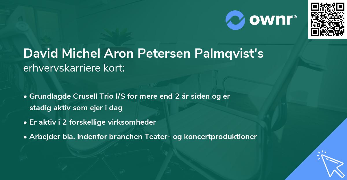 David Michel Aron Petersen Palmqvist's erhvervskarriere kort