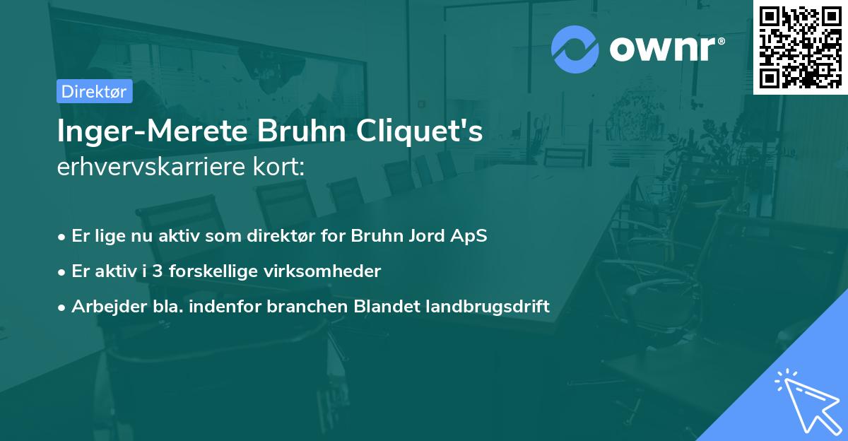 Inger-Merete Bruhn Cliquet's erhvervskarriere kort