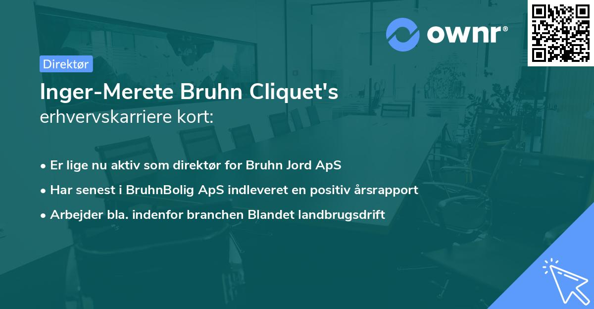 Inger-Merete Bruhn Cliquet's erhvervskarriere kort