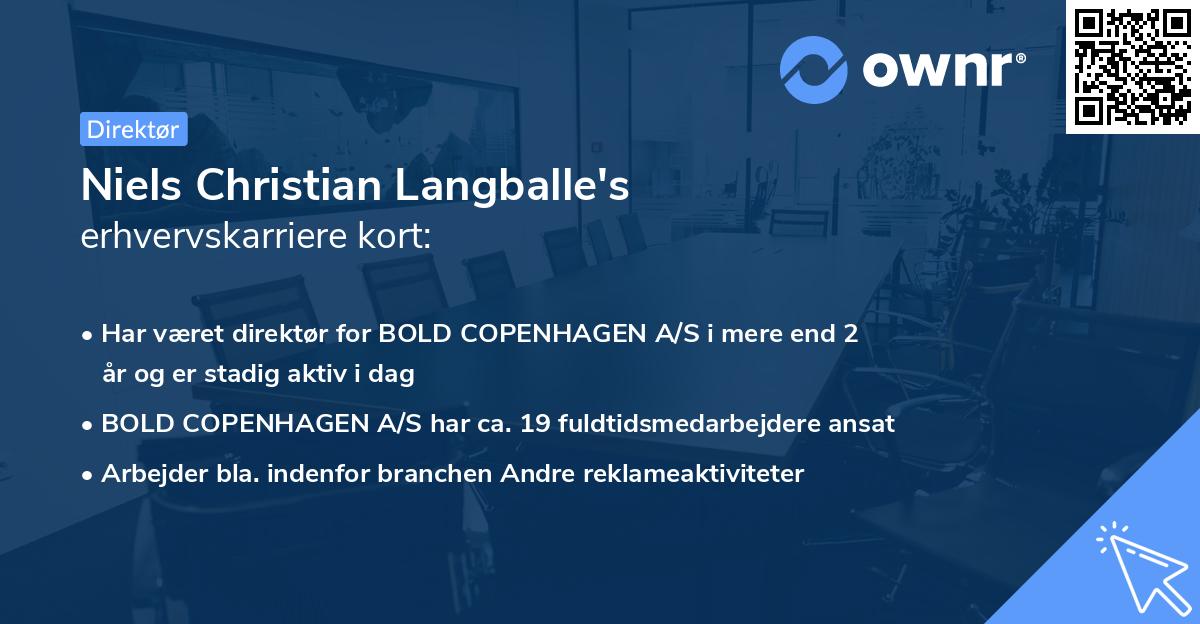 Niels Christian Langballe's erhvervskarriere kort