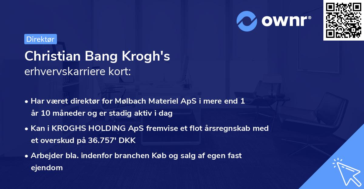 Christian Bang Krogh's erhvervskarriere kort