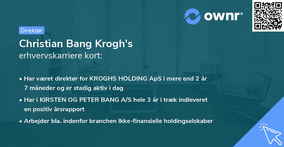 Christian Bang Krogh's erhvervskarriere kort