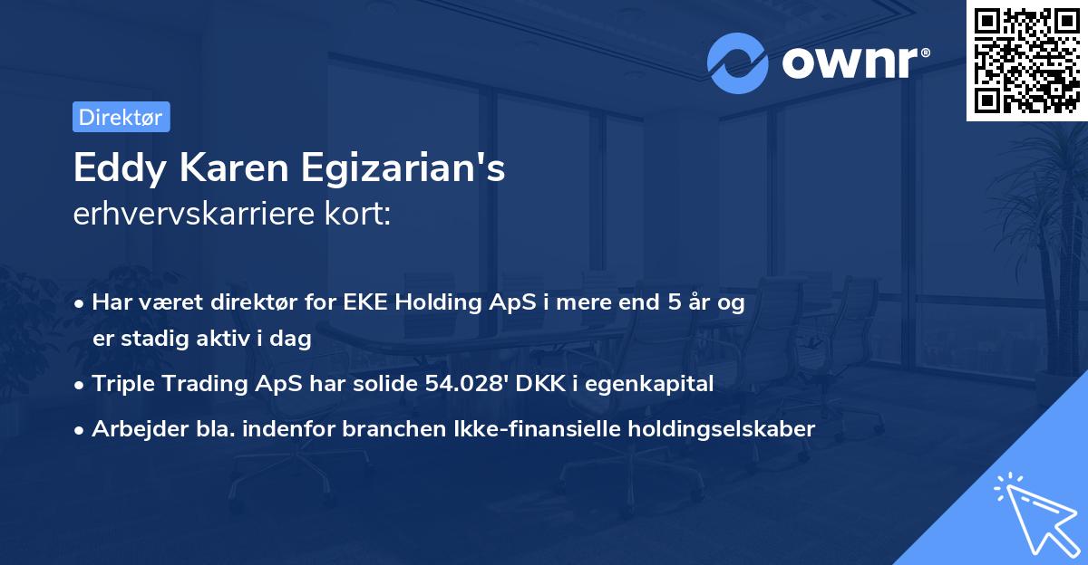 Eddy Karen Egizarian's erhvervskarriere kort