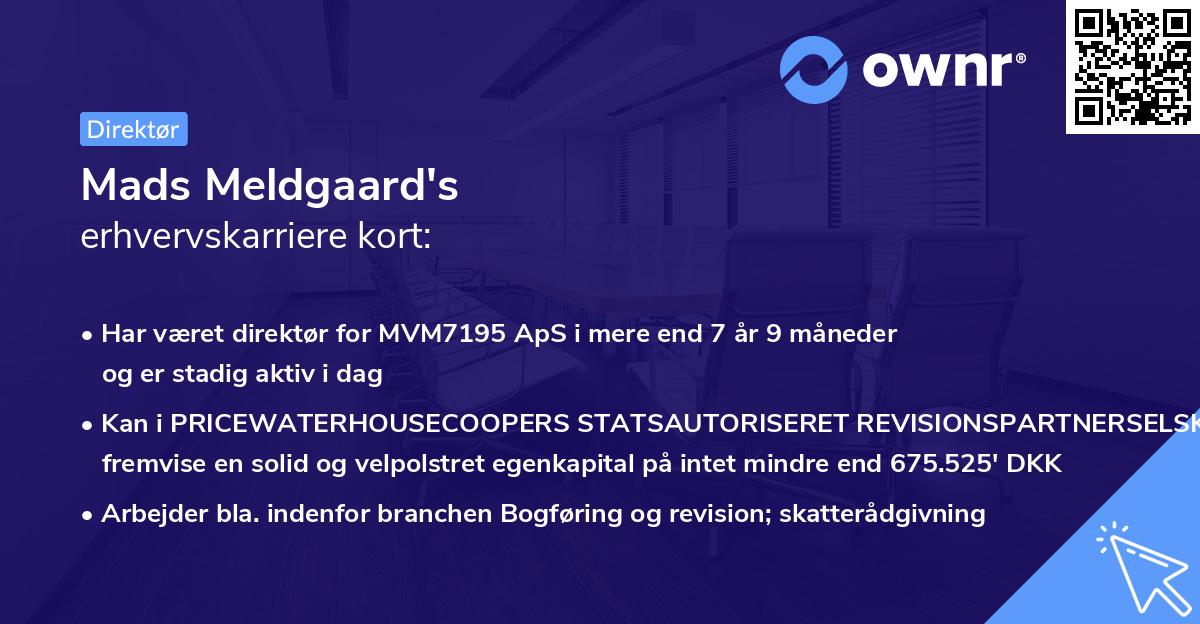 Mads Meldgaard's erhvervskarriere kort