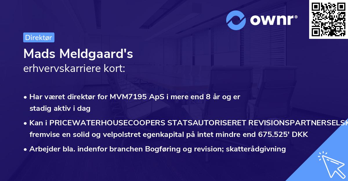 Mads Meldgaard's erhvervskarriere kort