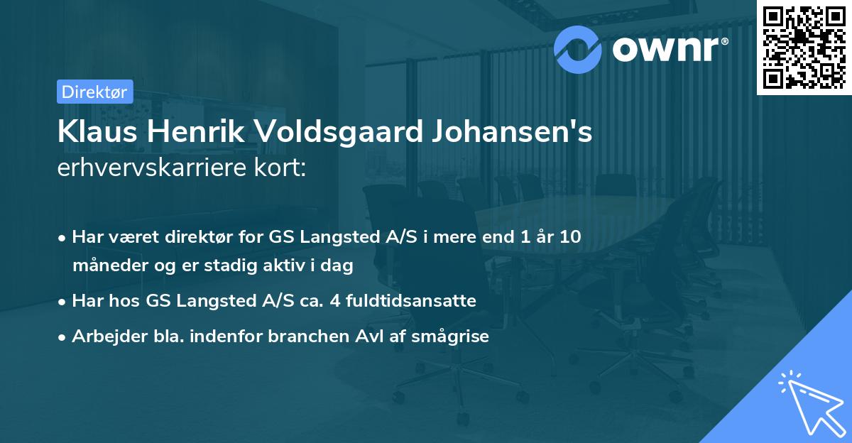 Klaus Henrik Voldsgaard Johansen's erhvervskarriere kort