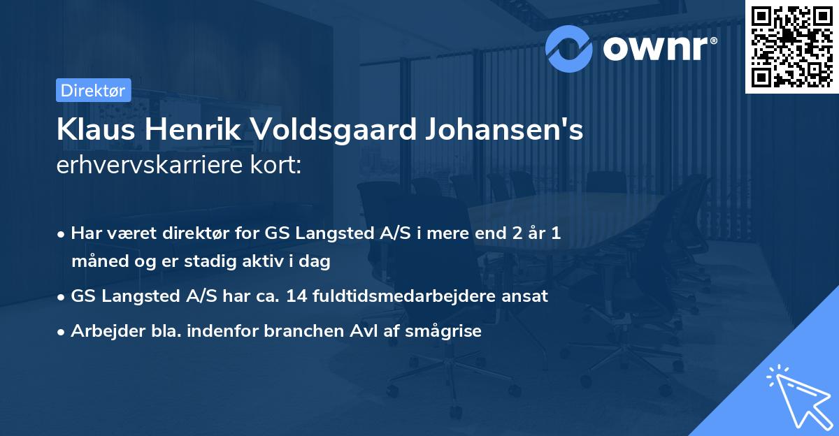 Klaus Henrik Voldsgaard Johansen's erhvervskarriere kort