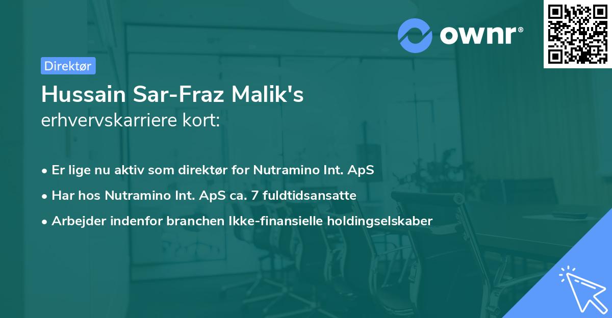 Hussain Sar-Fraz Malik's erhvervskarriere kort