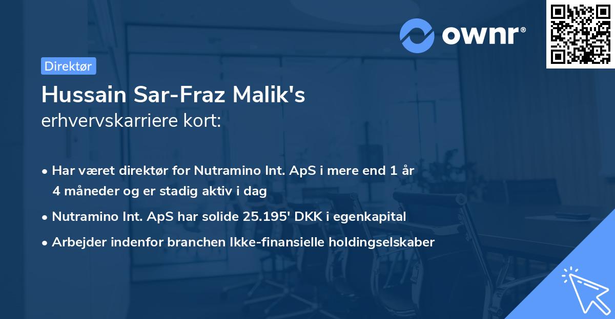 Hussain Sar-Fraz Malik's erhvervskarriere kort
