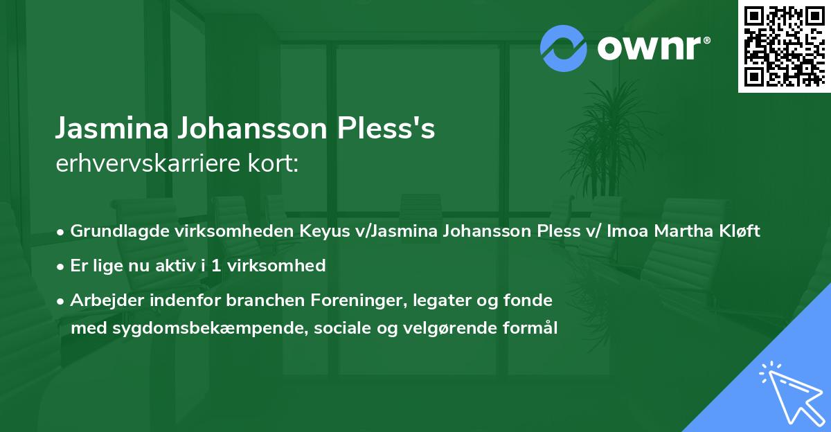 Jasmina Johansson Pless's erhvervskarriere kort