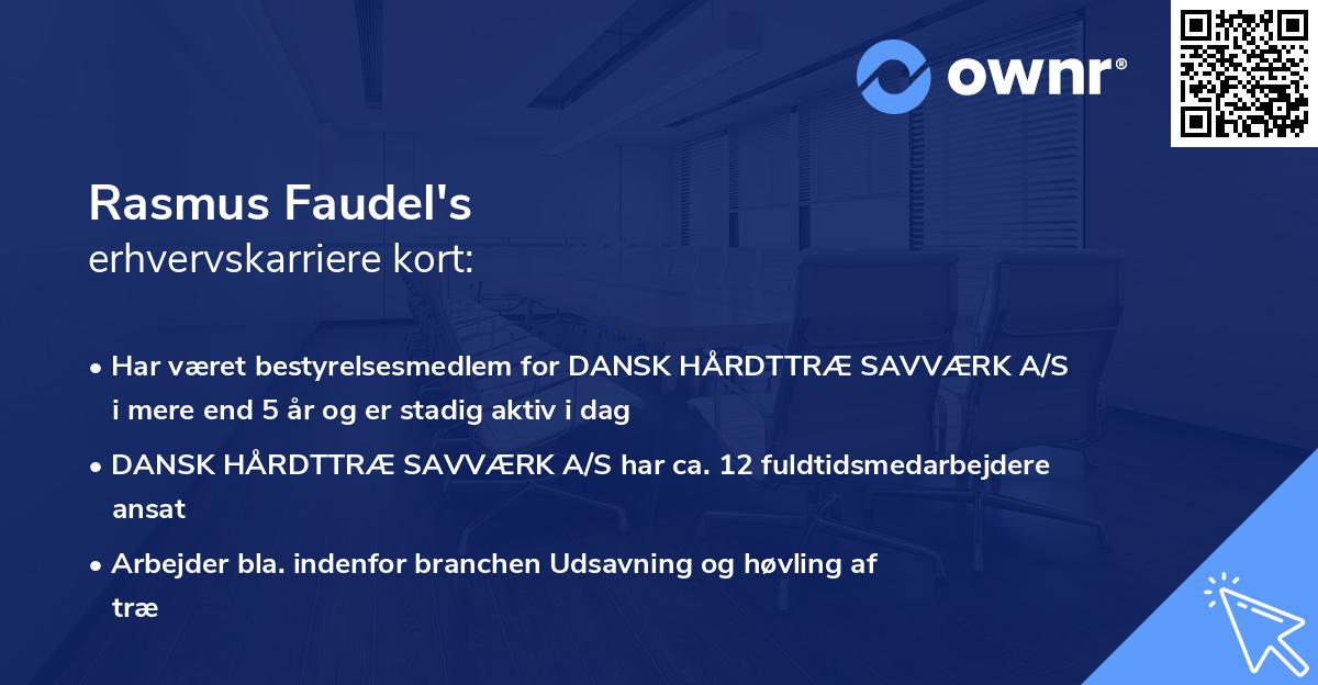 Rasmus Faudel's erhvervskarriere kort