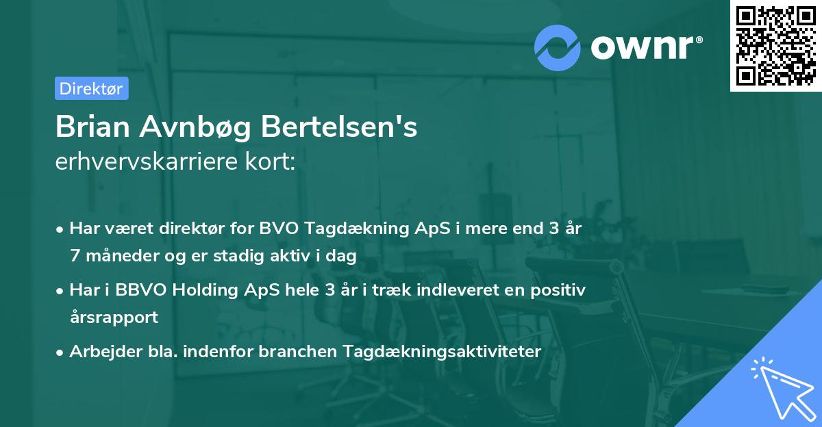 Brian Avnbøg Bertelsen's erhvervskarriere kort