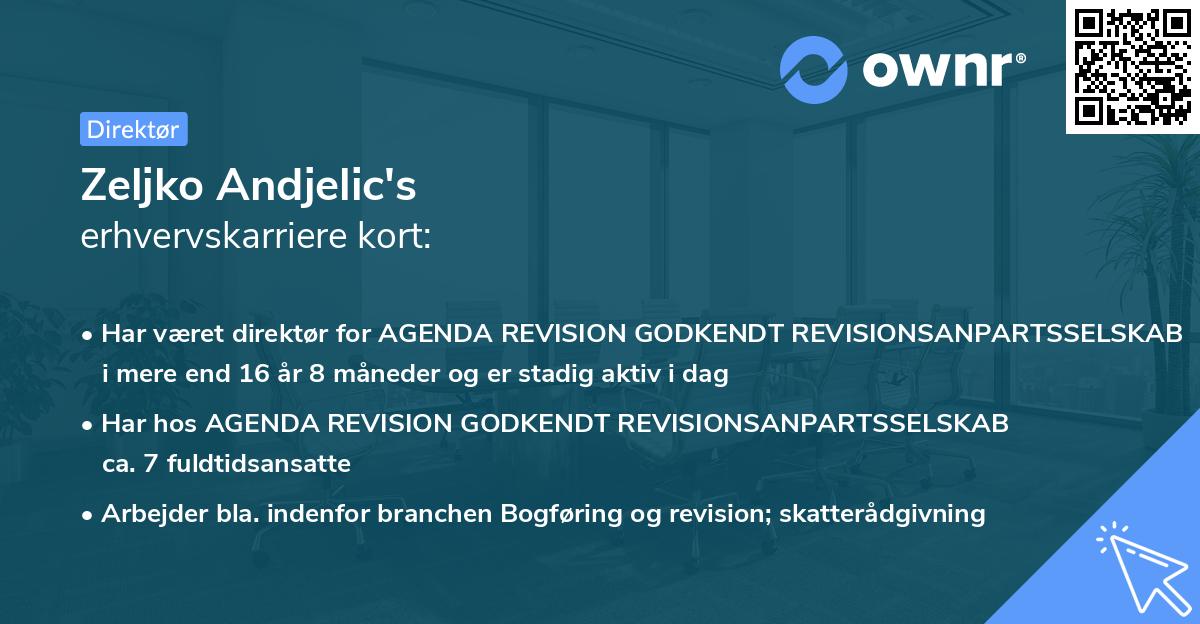 Zeljko Andjelic's erhvervskarriere kort