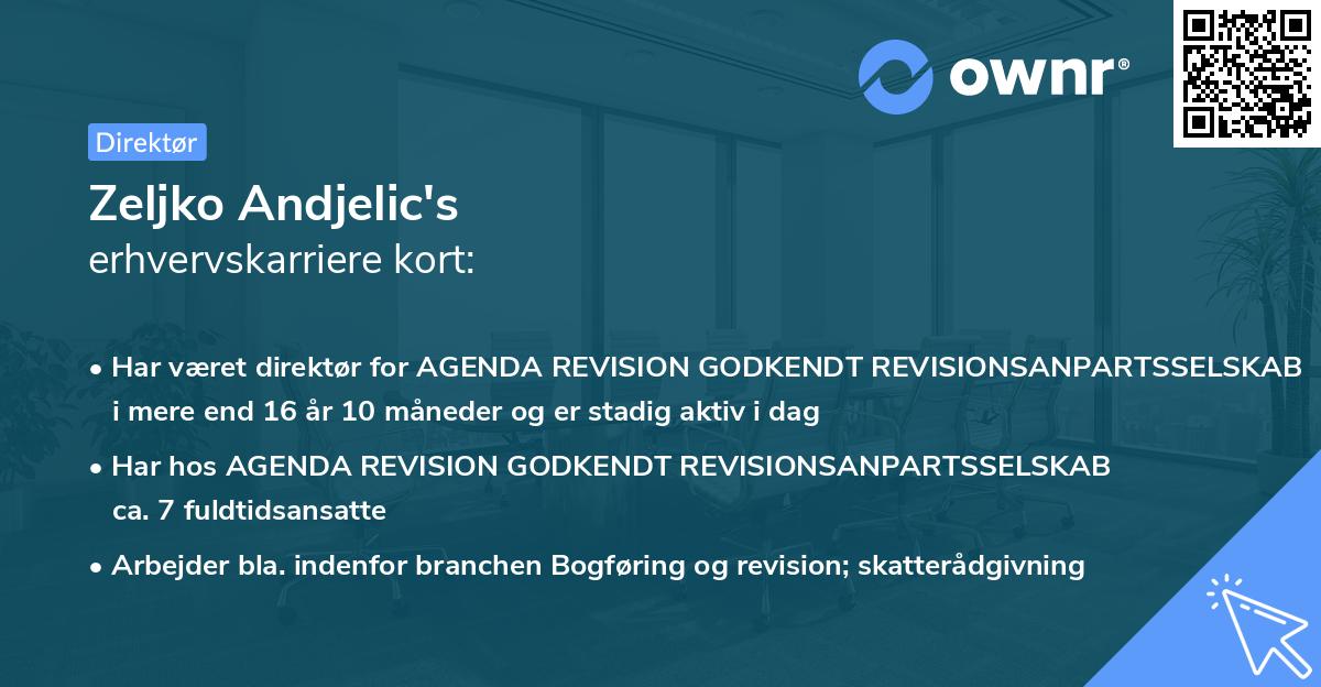Zeljko Andjelic's erhvervskarriere kort
