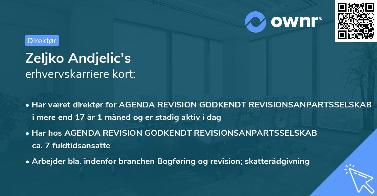 Zeljko Andjelic's erhvervskarriere kort