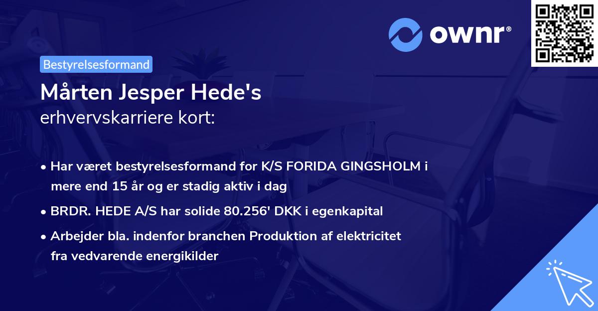 Mårten Jesper Hede's erhvervskarriere kort