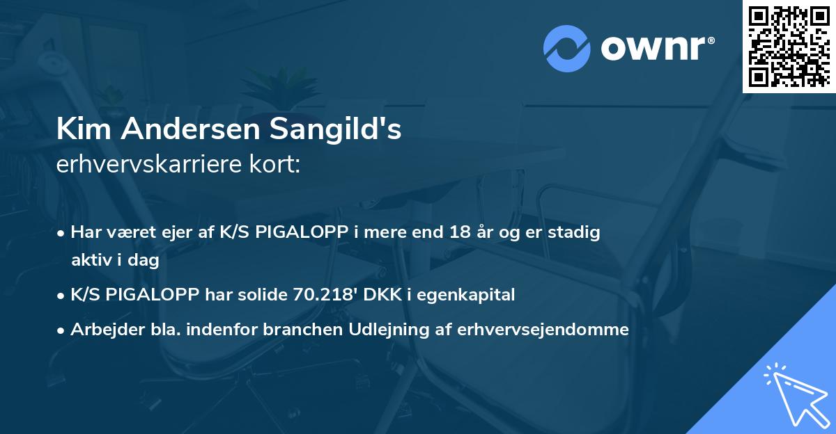 Kim Andersen Sangild's erhvervskarriere kort