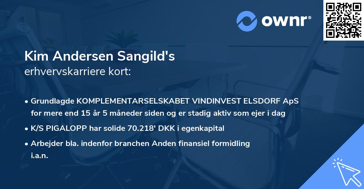 Kim Andersen Sangild's erhvervskarriere kort