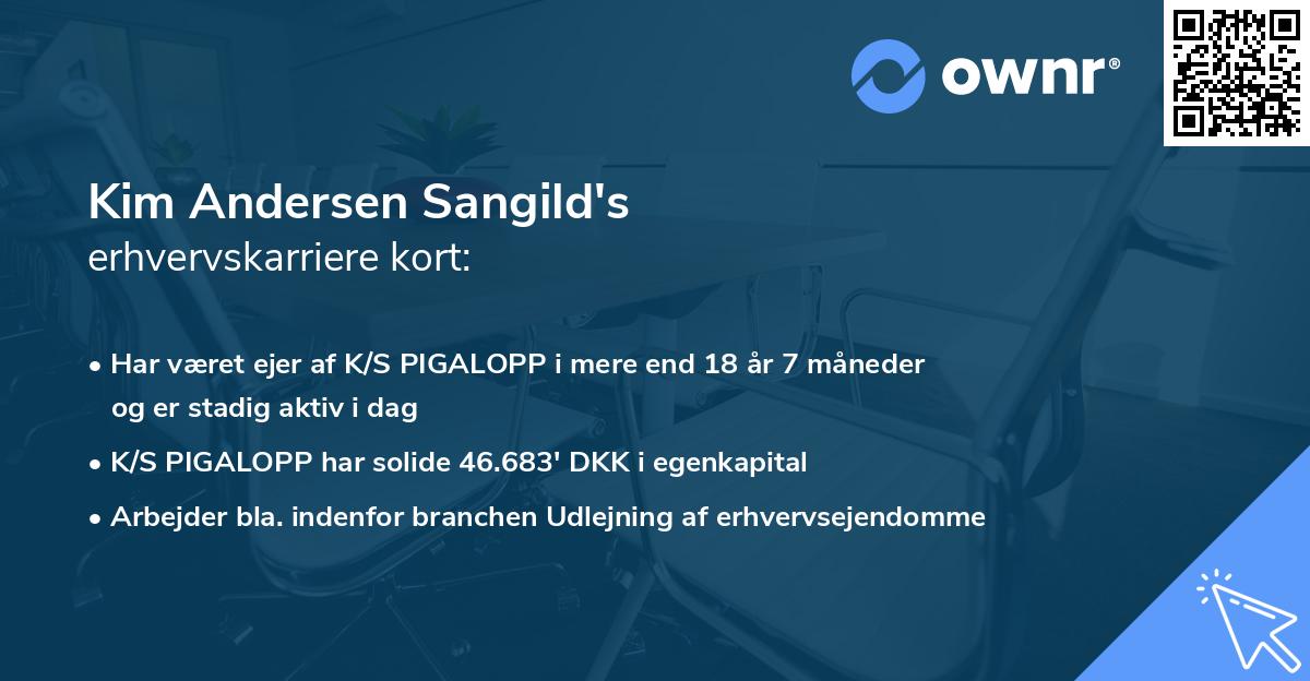 Kim Andersen Sangild's erhvervskarriere kort