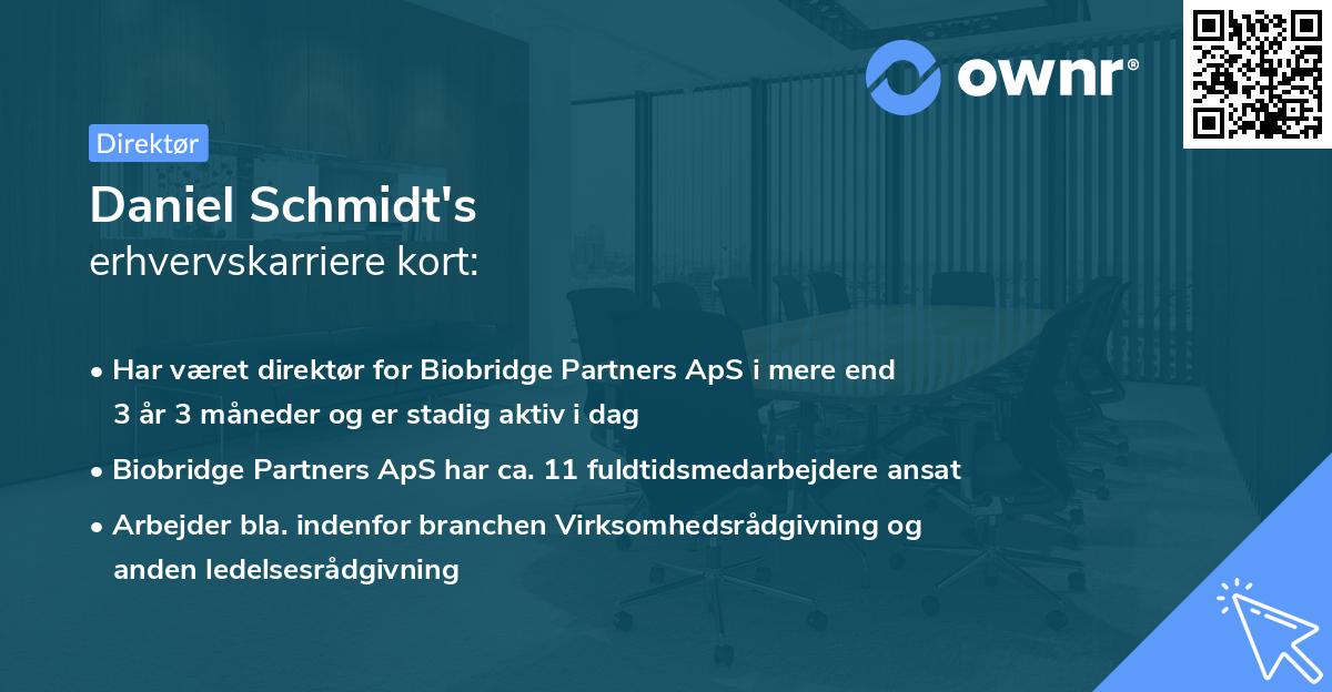 Daniel Schmidt's erhvervskarriere kort