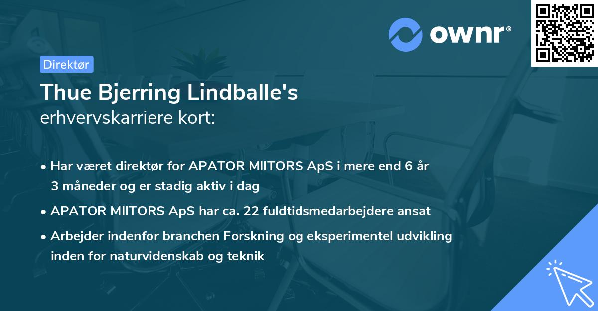 Thue Bjerring Lindballe's erhvervskarriere kort