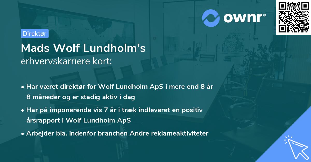 Mads Wolf Lundholm's erhvervskarriere kort