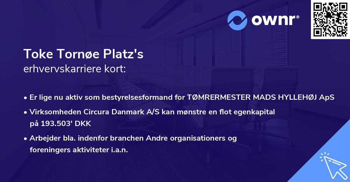 Toke Tornøe Platz's erhvervskarriere kort