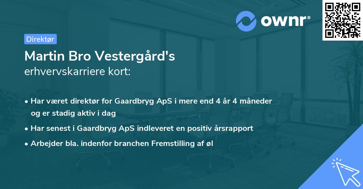 Martin Bro Vestergård's erhvervskarriere kort