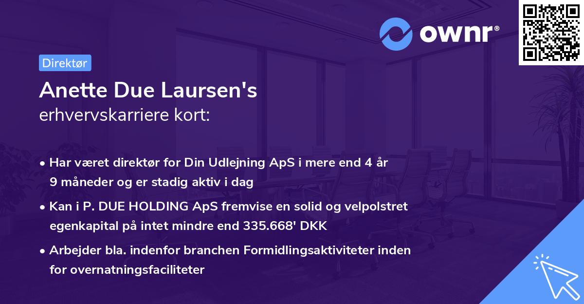 Anette Due Laursen's erhvervskarriere kort