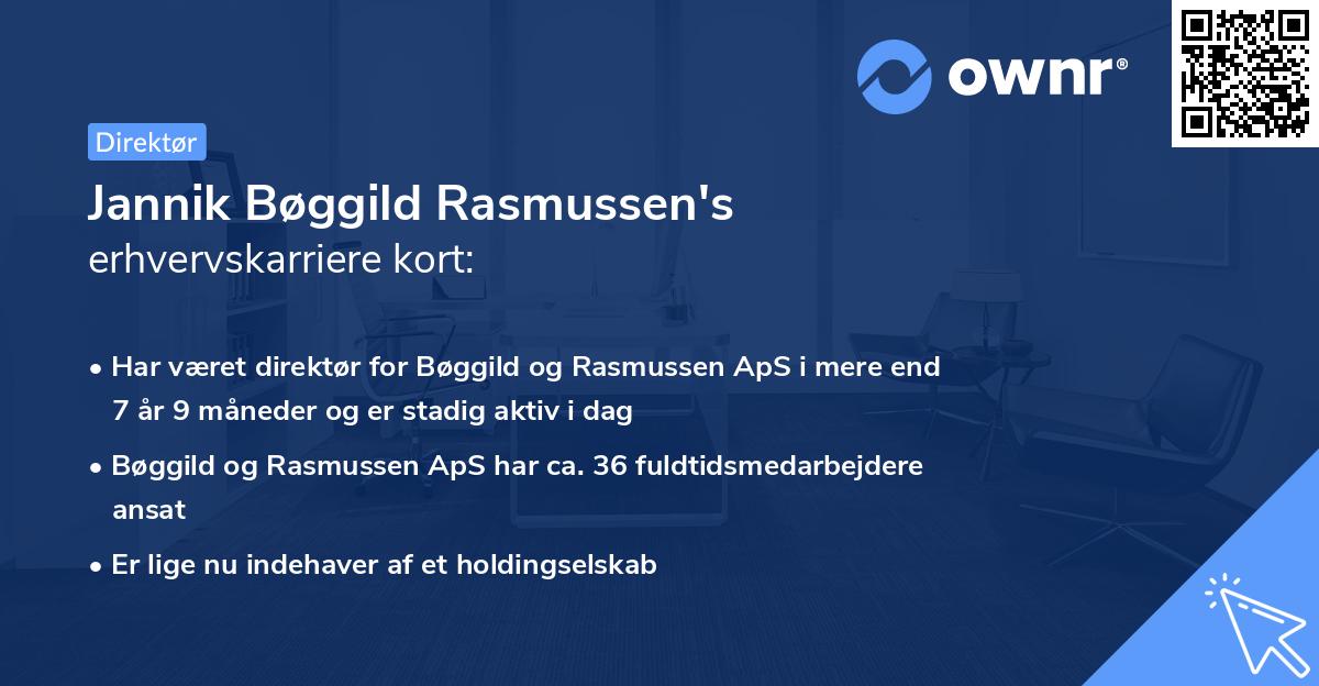 Jannik Bøggild Rasmussen's erhvervskarriere kort