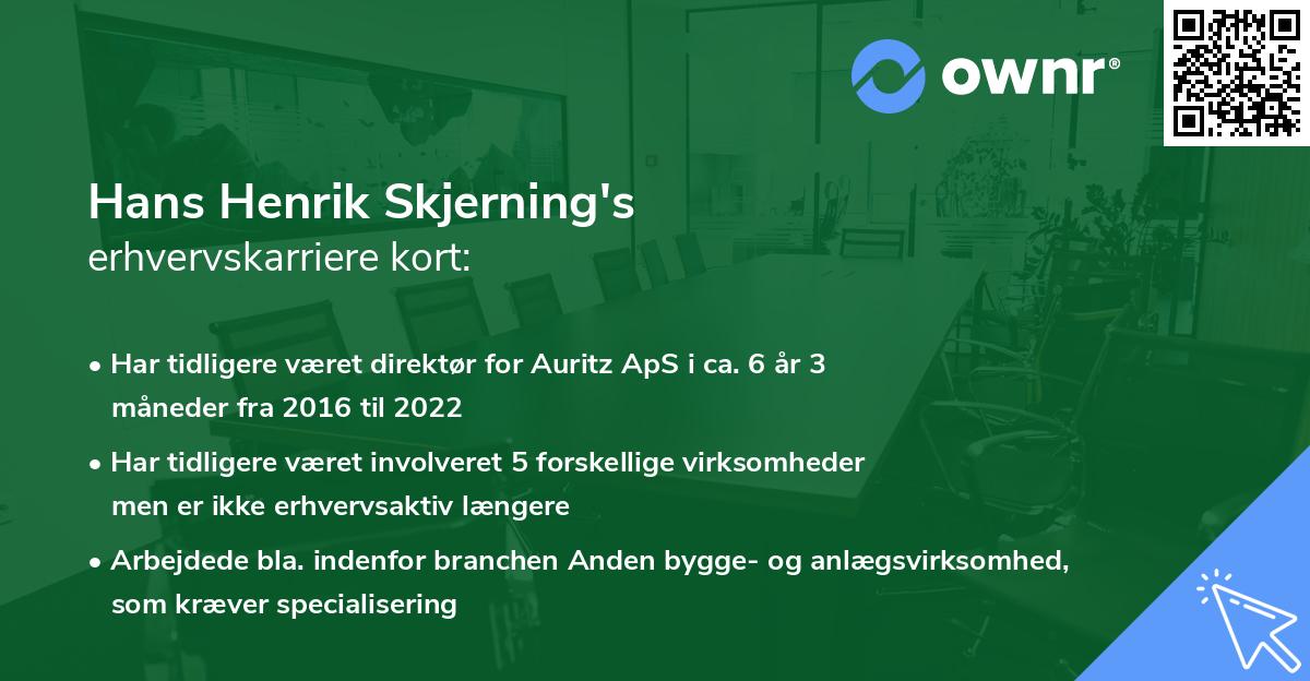 Hans Henrik Skjerning's erhvervskarriere kort