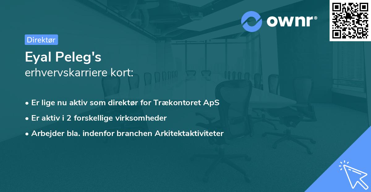 Eyal Peleg's erhvervskarriere kort