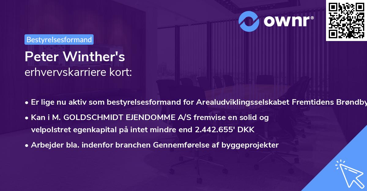 Peter Winther's erhvervskarriere kort