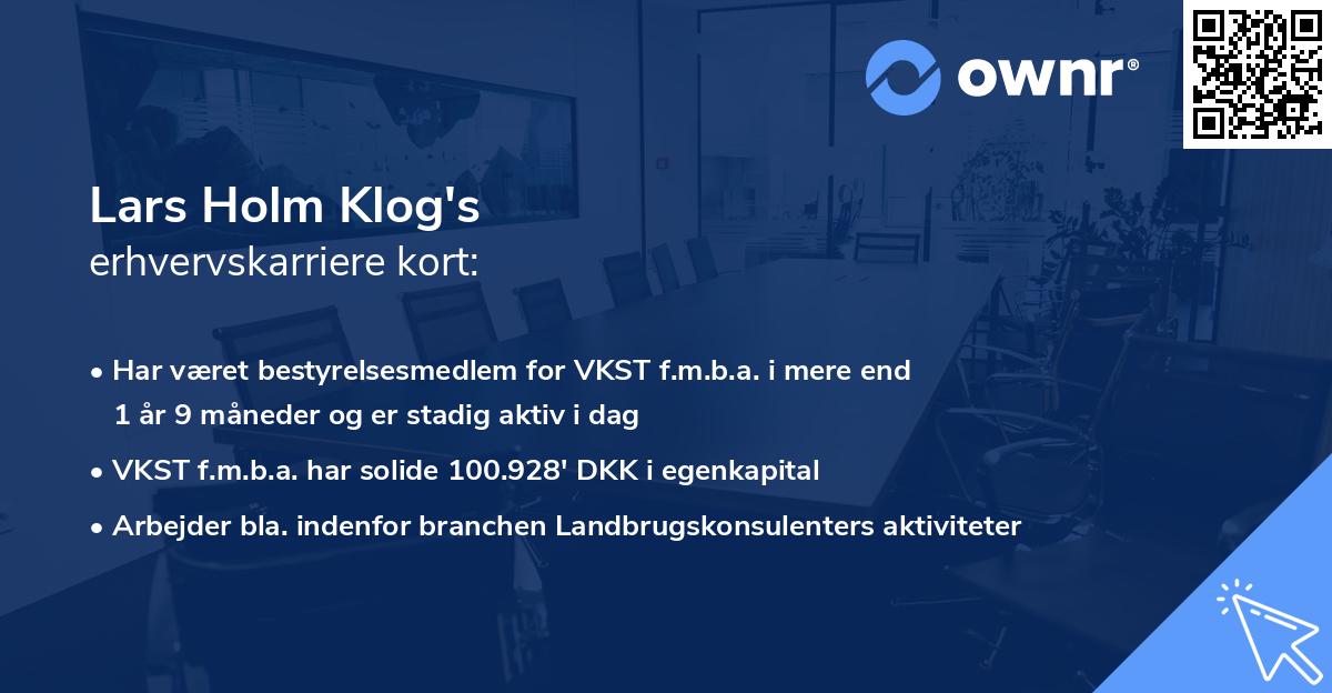 Lars Holm Klog's erhvervskarriere kort
