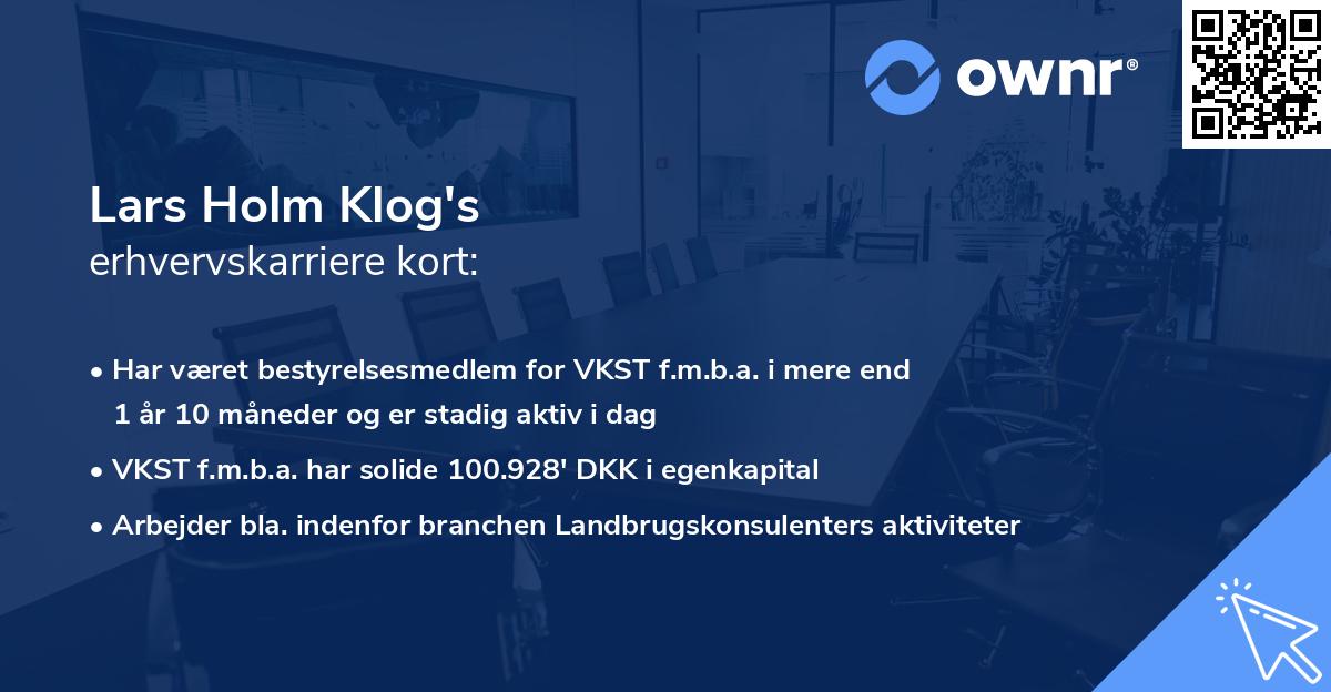 Lars Holm Klog's erhvervskarriere kort