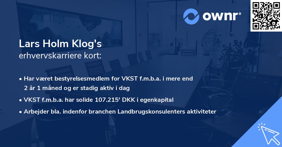 Lars Holm Klog's erhvervskarriere kort