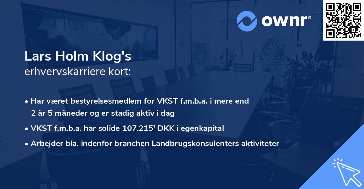 Lars Holm Klog's erhvervskarriere kort