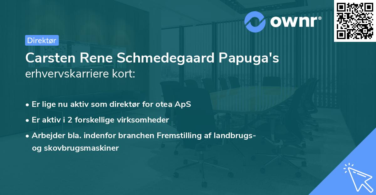 Carsten Rene Schmedegaard Papuga's erhvervskarriere kort