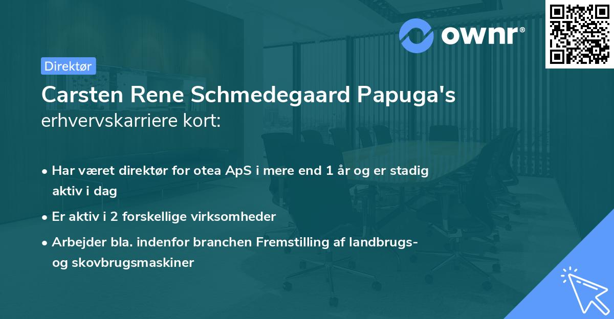 Carsten Rene Schmedegaard Papuga's erhvervskarriere kort