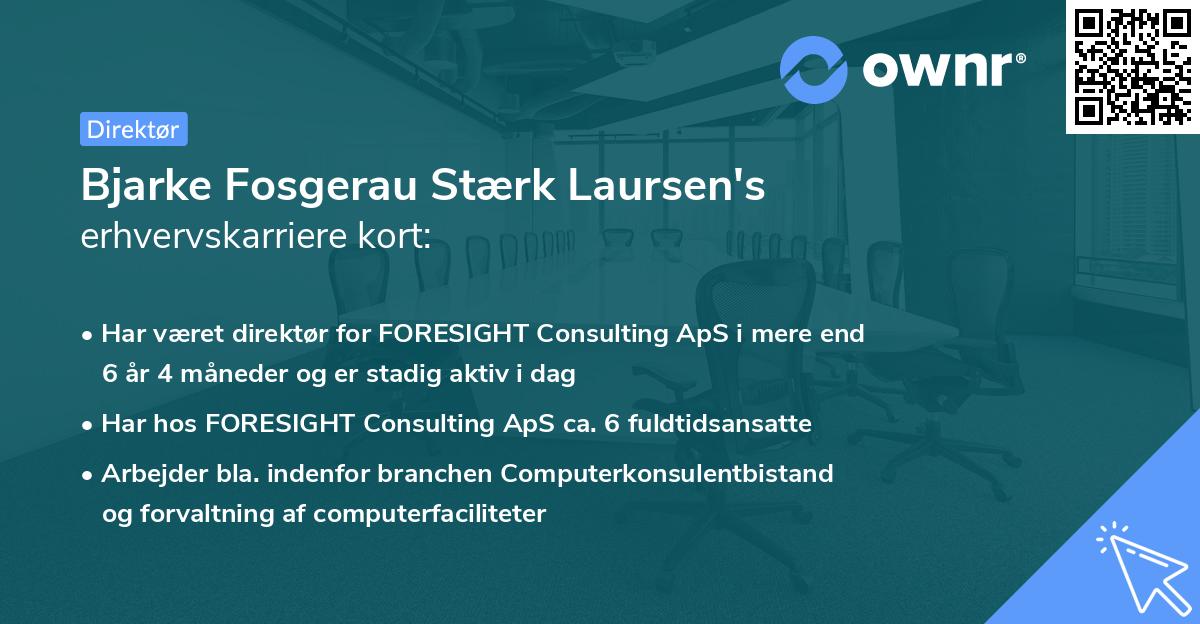 Bjarke Fosgerau Stærk Laursen's erhvervskarriere kort