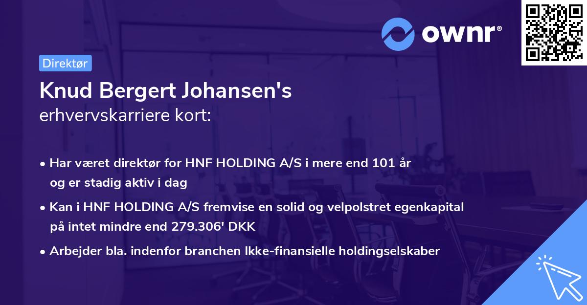 Knud Bergert Johansen's erhvervskarriere kort