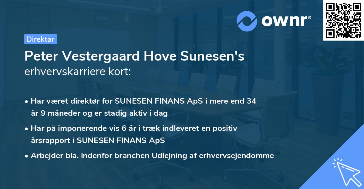Peter Vestergaard Hove Sunesen's erhvervskarriere kort