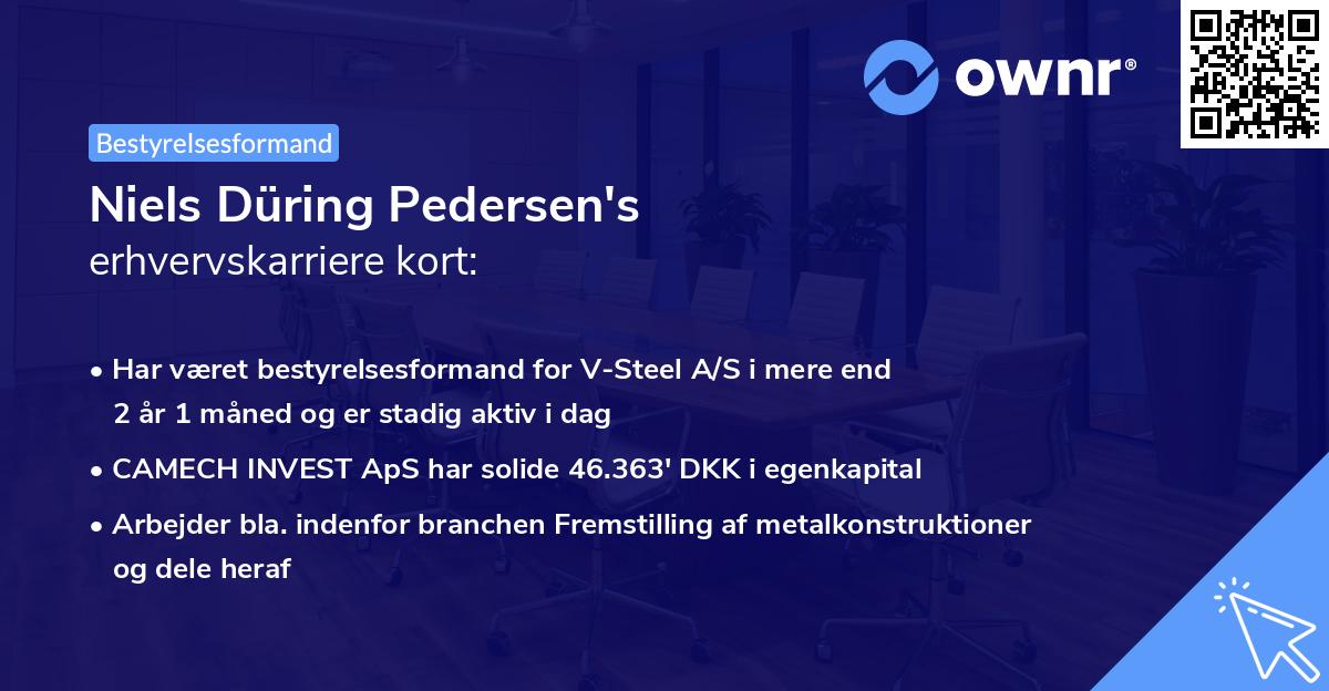 Niels Düring Pedersen's erhvervskarriere kort