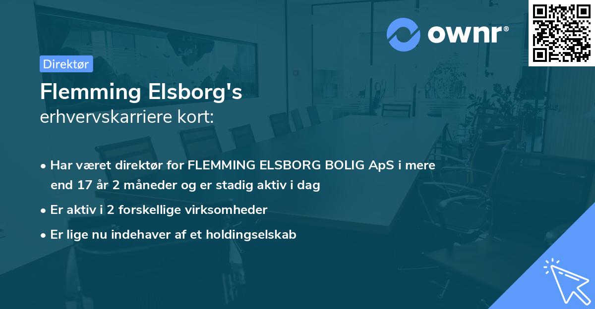 Flemming Elsborg's erhvervskarriere kort