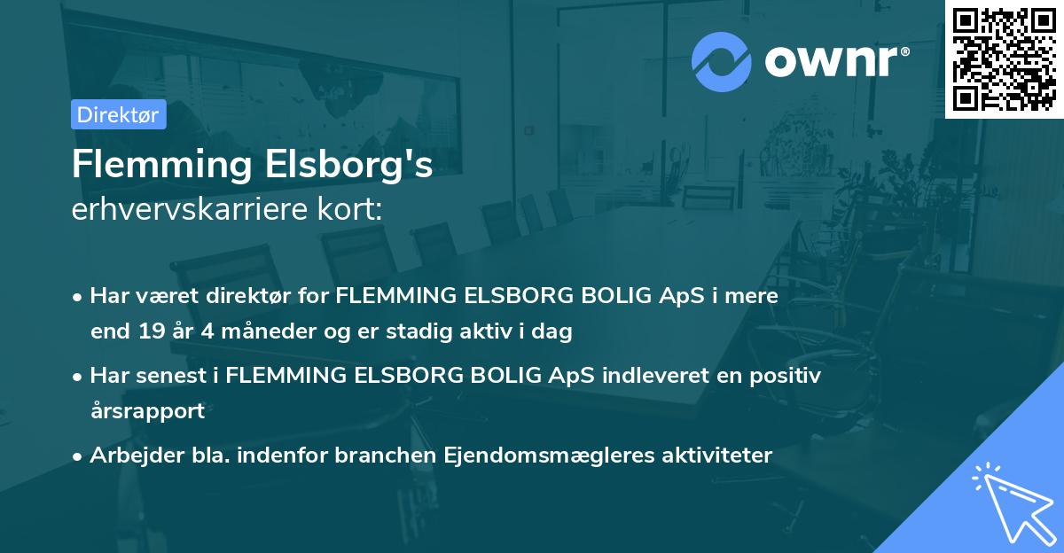 Flemming Elsborg's erhvervskarriere kort